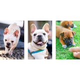 Maxbell 50 Pcs Dog Insemination Tube Flexible Dog Breeding Kit Disposable Practical 30cm