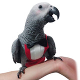 Maxbell Cute Parrots Flight Suit Washable Bird Costume for Halloween Festival Party M