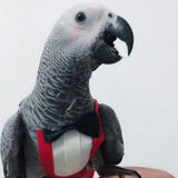Maxbell Cute Parrots Flight Suit Washable Bird Costume for Halloween Festival Party L