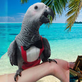 Maxbell Cute Parrots Flight Suit Washable Bird Costume for Halloween Festival Party L