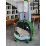 Maxbell Pet Trolley Case Durable Breathable Holes for Puppy Dog Carrying Hiking Translucent