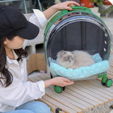 Maxbell Pet Trolley Case Durable Breathable Holes for Puppy Dog Carrying Hiking Translucent