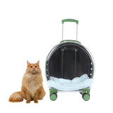 Maxbell Pet Trolley Case Durable Breathable Holes for Puppy Dog Carrying Hiking Translucent