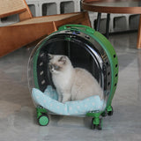 Maxbell Pet Trolley Case Durable Breathable Holes for Puppy Dog Carrying Hiking Translucent