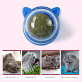 Maxbell Catnip Ball Toys Teething Toy Snack Pet French Windows with Lid Chew Cat Toy style A