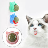 Maxbell Catnip Ball Toys Teething Toy Snack Pet French Windows with Lid Chew Cat Toy style B