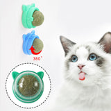 Maxbell Catnip Ball Toys Teething Toy Snack Pet French Windows with Lid Chew Cat Toy style C