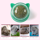Maxbell Catnip Ball Toys Teething Toy Snack Pet French Windows with Lid Chew Cat Toy style C