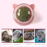 Maxbell Catnip Ball Toys Teething Toy Snack Pet French Windows with Lid Chew Cat Toy style G
