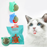 Maxbell Catnip Ball Toys Teething Toy Snack Pet French Windows with Lid Chew Cat Toy style H
