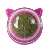 Maxbell Catnip Ball Toys Teething Toy Snack Pet French Windows with Lid Chew Cat Toy style P