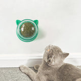 Maxbell Catnip Ball Toys Teething Toy Snack Pet French Windows with Lid Chew Cat Toy style R