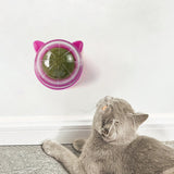 Maxbell Catnip Ball Toys Teething Toy Snack Pet French Windows with Lid Chew Cat Toy style T