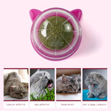 Maxbell Catnip Ball Toys Teething Toy Snack Pet French Windows with Lid Chew Cat Toy style T