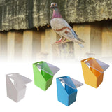 Maxbell Bird Food Feeder Hanging Convenient Detachable Food Containers for Pigeon Yellow