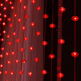 Maxbell Fairy Lights Remote Control Curtain Photo Props Ornament for Spring Festival 3x3m