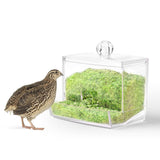 Maxbell Portable Rutin Chicken Feeder Acrylic for Poultry Farm Feeding Accessories without screws