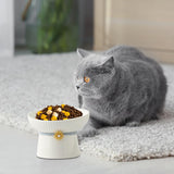 Maxbell Porcelain Pet Feeder Raised Cat Dish High Foot Non Spillage Cat Dog Bowl Solid Color Tilted
