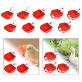 Maxbell 3Pcs Automatic Chicken Waterer Feeder Tools Cage Hang for Ducks Chicks Goose style A