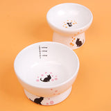 Maxbell Raised Cat Food Bowl Non Slip Pet Bowls Drinking Bowl Dog Bowl Pet Feeder Water Bowl Cat