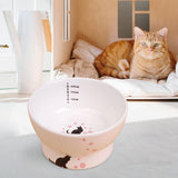 Maxbell Raised Cat Food Bowl Non Slip Pet Bowls Drinking Bowl Dog Bowl Pet Feeder Water Bowl Cat