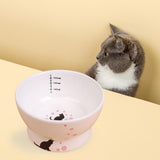 Maxbell Raised Cat Food Bowl Non Slip Pet Bowls Drinking Bowl Dog Bowl Pet Feeder Water Bowl Cat