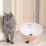 Maxbell Raised Cat Food Bowl Non Slip Pet Bowls Drinking Bowl Dog Bowl Pet Feeder Water Bowl Cat