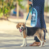 Maxbell Dog Water Bottle Dispenser Portable Foldable Compact Capacity 550ml Travel Blue