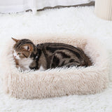 Maxbell Recyclable Scratch Nest Corrugate Paper Grinding Claw Mat Kitten Reversible B