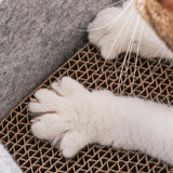 Maxbell Recyclable Scratch Nest Corrugate Paper Grinding Claw Mat Kitten Reversible C