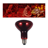 Maxbell Red Reptile Light Bulb Warmer Hedgehogs Pet Turtle Bearded Dragon Daylight