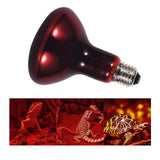 Maxbell Red Reptile Light Bulb Warmer Hedgehogs Pet Turtle Bearded Dragon Daylight