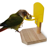 Maxbell Funny Bird Training Basketball Toys Parrot Intelligence Toy Trick Prop