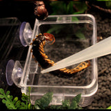 Maxbell Reptile Feeding Tool Noctilucence Clip Easy to Use for Tortoise Spider