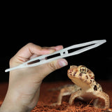 Maxbell Reptile Feeding Tool Noctilucence Clip Easy to Use for Tortoise Spider