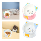 Maxbell Elevated Cat Food Bowl Pet Feeding Bowl Non Slip Raised Tilted Pet Feeder Light Blue
