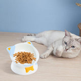 Maxbell Elevated Cat Food Bowl Pet Feeding Bowl Non Slip Raised Tilted Pet Feeder Light Blue