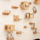 Maxbell Cat Shelf Platform Durable Cat Shelves for Indoor Cats Playing Pets Toy Fish