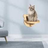 Maxbell Cat Shelf Platform Durable Cat Shelves for Indoor Cats Playing Pets Toy Bear