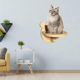 Maxbell Cat Shelf Platform Durable Cat Shelves for Indoor Cats Playing Pets Toy Bear