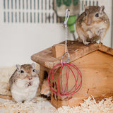 Maxbell Rabbit Hay Feeder Ball Hanging Hay Ball Bunny Treat Ball for Rat Chinchillas Red