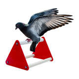 Maxbell Pet Parrot Playstand Exercise Activity Center for Parrot Parakeet Macaw
