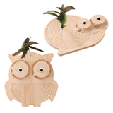 Maxbell Cat Scratcher Durable Practical Cat Scratching Board for Kitty Training Owl