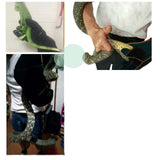 Maxbell Anti Bite Animal Handling Gloves Padding Pet Gloves Extra Long for Cat L