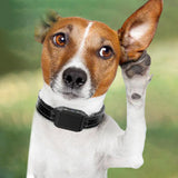 Maxbell Dog Stop Bark Collar Dog Trainer Training Device Dog Small Medium Puppy