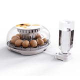 Maxbell 12 Eggs Incubator Manual Egg Turner Temperature Control for Birds Pigeon