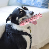 Maxbell Durable Puppy Teething Sticks Dog Chew Toy for Aggressive Chewers Pink