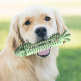Maxbell Durable Puppy Teething Sticks Dog Chew Toy for Aggressive Chewers Green