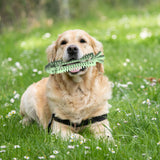 Maxbell Durable Puppy Teething Sticks Dog Chew Toy for Aggressive Chewers Green