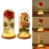 Maxbell Artificial Rose Flower with Glass Cover Decorative for Party Living Room